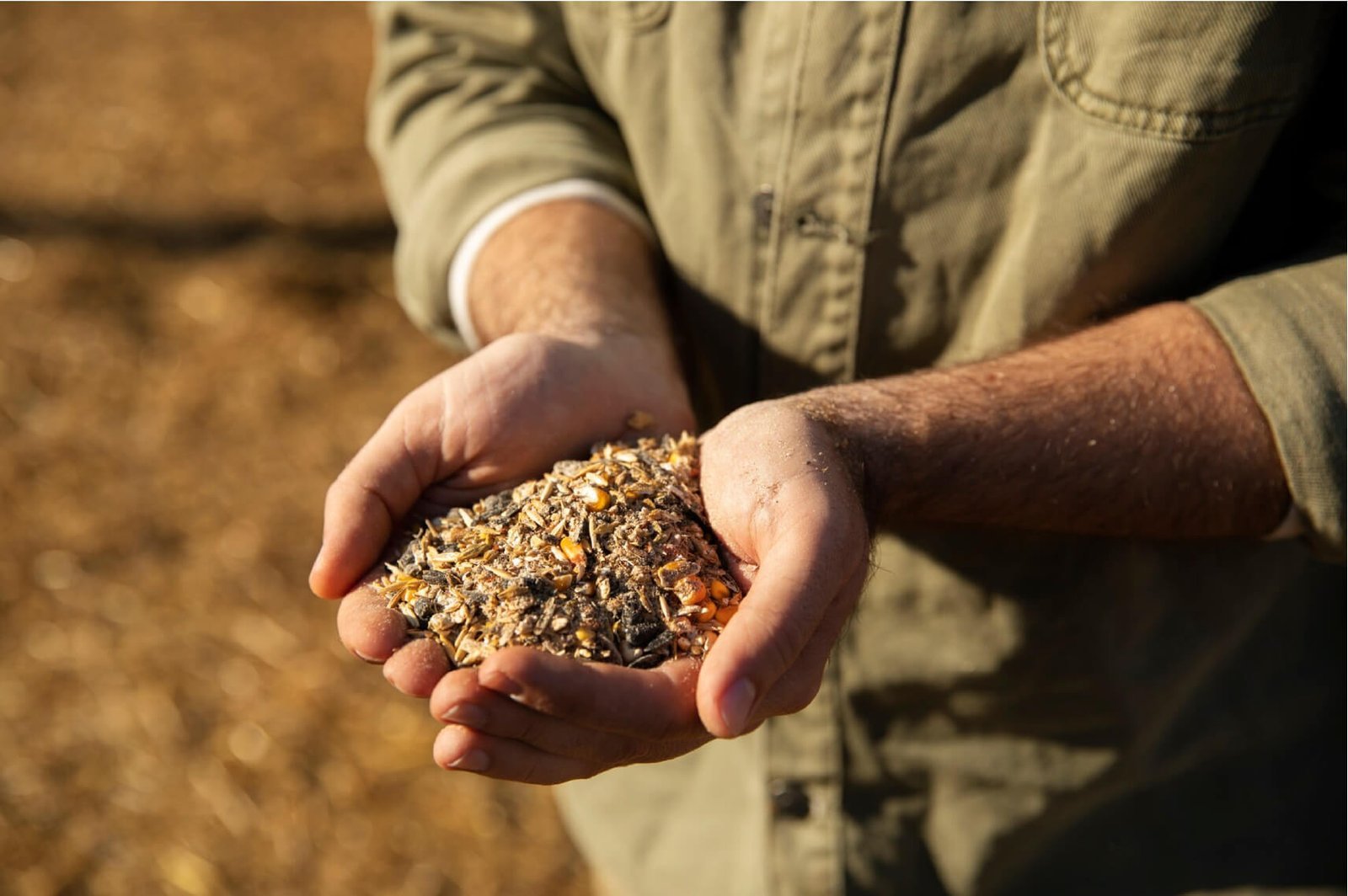agro-roductos-4.jpg
